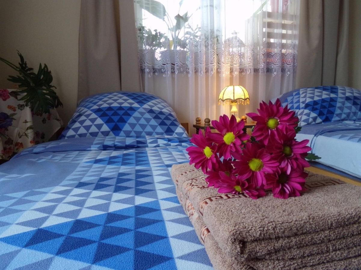 Agroturystyka U Willima Mechnica Экстерьер фото
