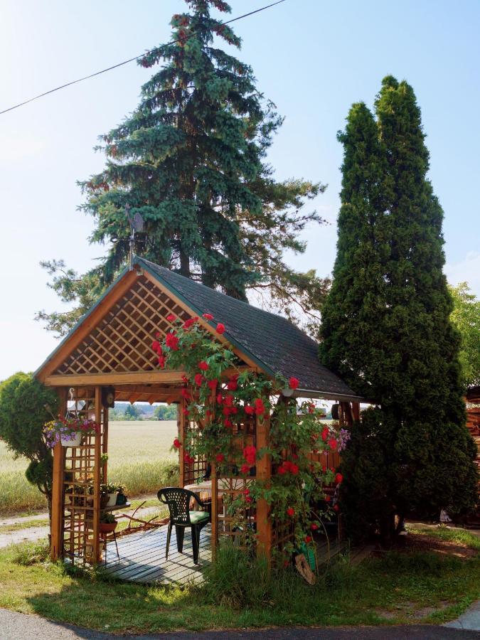 Agroturystyka U Willima Mechnica Экстерьер фото